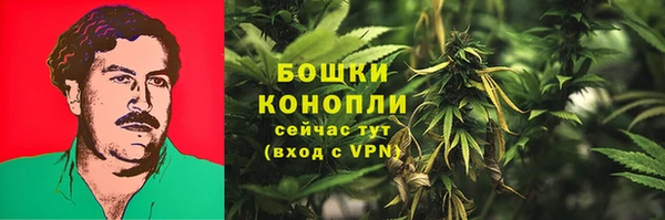 2c-b Балабаново