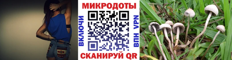 ссылка на мегу   Мышкин  Псилоцибиновые грибы Magic Shrooms 